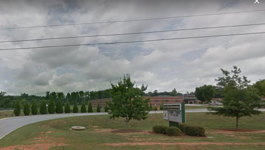 Live Oak.jpg